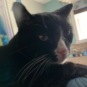 Meet your Posher, Valerie